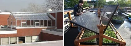 Теплиця на даху будинку і гаража - різні варіанти установки (установки) Теплиця на даху будинку і гаража - різні варіанти установки