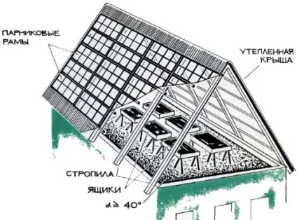 Теплиця на даху особливості конструкції, варіанти облаштування, креслення, особливості монтажу, (даху) Теплиця на даху особливості конструкції, варіанти облаштування, креслення, особливості монтажу,