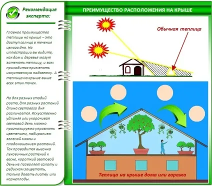Теплиця на даху своїми руками особливості будівництва (особливо) Теплиця на даху своїми руками особливості будівництва