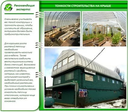Теплиця на даху своїми руками особливості будівництва (особливо) Теплиця на даху своїми руками особливості будівництва