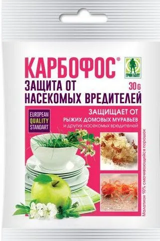 Попелиця на помідорах у теплиці як боротися, як позбутися (Обробку можна проводити) Попелиця на помідорах у теплиці як боротися, як позбутися