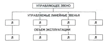 Типові структури експлуатаційних організацій (організацій) Типові структури експлуатаційних організацій