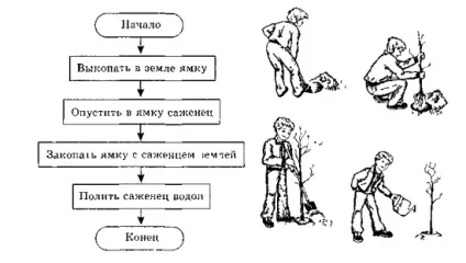 типи алгоритмів
