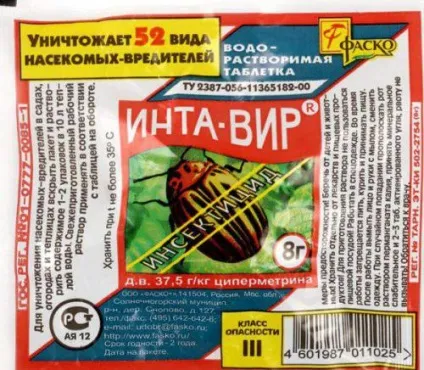 Попелиця на помідорах у теплиці як боротися, як позбутися (теплиці) Попелиця на помідорах у теплиці як боротися, як позбутися