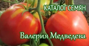 Томат сила-силенна
