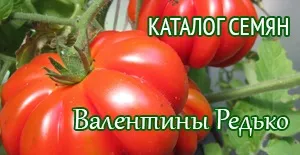 Томат сила-силенна