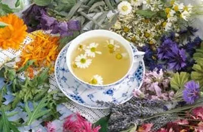 Трави від псоріазу можна лікується вдома (вдома) Трави від псоріазу можна лікується вдома