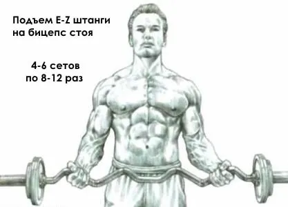 Топ-5 кращих вправ на біцепс на масу - школа тіла - бодібілдинг, спорт, фітнес (кращі вправи на біцепс) Топ-5 кращих вправ на біцепс на масу - школа тіла - бодібілдинг, спорт, фітнес