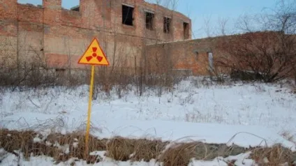 Топ-10 неймовірних фактів про північних оленях (фактів) Топ-10 неймовірних фактів про північних оленях