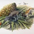 Ходьба і біг у тварин - прості відповіді на складні питання (ходьба) Ходьба і біг у тварин - прості відповіді на складні питання