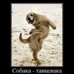 Хочу їсти багато і худнути, хочу їсти все що мені хочеться (їсти) Хочу їсти багато і худнути, хочу їсти все що мені хочеться