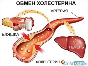 Холестеринові бляшки поганий і хороший холестерин в судинах, на обличчі, лікування, як боротися
