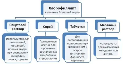 Хлорофіліпт для полоскання горла як розводити і в яких пропорціях інструкція із застосування (яких) Хлорофіліпт для полоскання горла як розводити і в яких пропорціях інструкція із застосування
