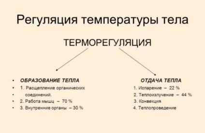 Холодний піт у дитини під час сну