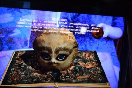 Wonderbook книга заклинань (заклинань) Wonderbook книга заклинань