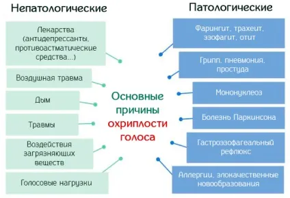 Хрипкий голос причини, лікування і натуральні засоби відновлення голосу (кошти) Хрипкий голос причини, лікування і натуральні засоби відновлення голосу