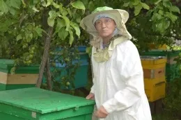 Працює як бджілка