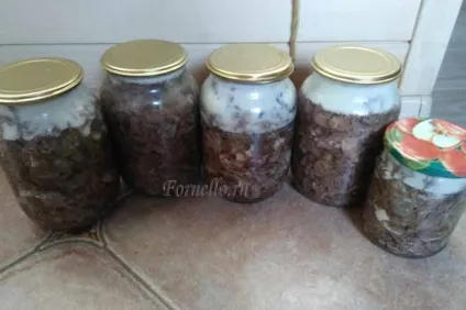 Консерви з лосятини