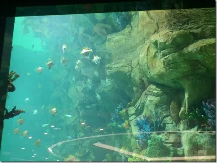 Трц ocean plaza в киеве