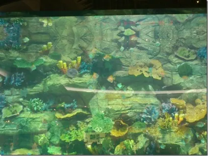 Трц ocean plaza в киеве