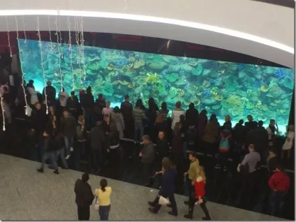 Трц ocean plaza в киеве