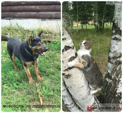 Туристичний комплекс «білий яр», Україна, Лубяни, Костромська область - «чим замінити відпочинок на (відпочинок) Туристичний комплекс «білий яр», Україна, Лубяни, Костромська область - «чим замінити відпочинок на