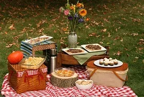 Укус мурашки (рудого, червоного) фото і лікування (лікування) Укус мурашки (рудого, червоного) фото і лікування
