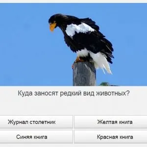 Універ прокачай общагу