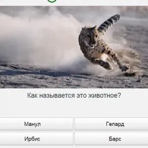 Універ прокачай общагу