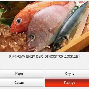 Універ прокачай общагу