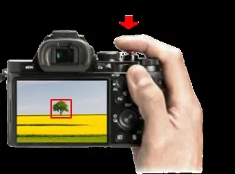 Уроки фотографії 1