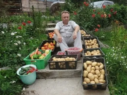 Унікальна технологія посадки картоплі