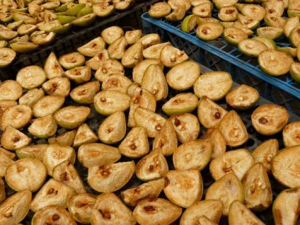 Універсальна сушарка для фруктів і овочів своїми руками (фруктів) Універсальна сушарка для фруктів і овочів своїми руками