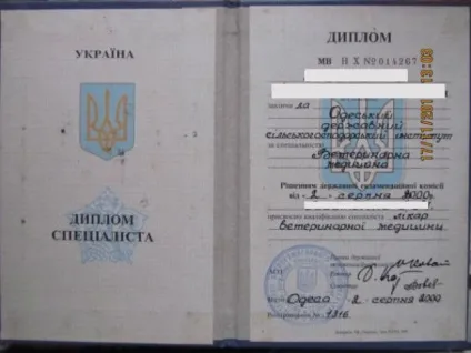 Укродіплом лікаря вУкаіни, студпроект