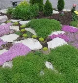 Пристрій альпійської гірки своїми руками - відео та фото (альпійської) Пристрій альпійської гірки своїми руками - відео та фото
