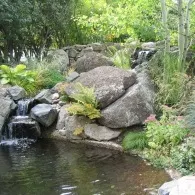 Пристрій декоративного водоймища (пристрій) Пристрій декоративного водоймища