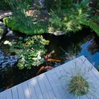 Пристрій декоративного водоймища (декоративної водойми Практичні) Пристрій декоративного водоймища