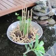 Пристрій декоративного водоймища (декоративного) Пристрій декоративного водоймища