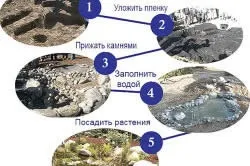 Пристрій штучного водоймища на садовій ділянці (ділянці) Пристрій штучного водоймища на садовій ділянці