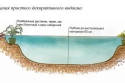 Пристрій штучного водоймища на садовій ділянці (пристрій) Пристрій штучного водоймища на садовій ділянці