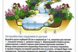 Пристрій штучного водоймища на садовій ділянці (ділянці) Пристрій штучного водоймища на садовій ділянці