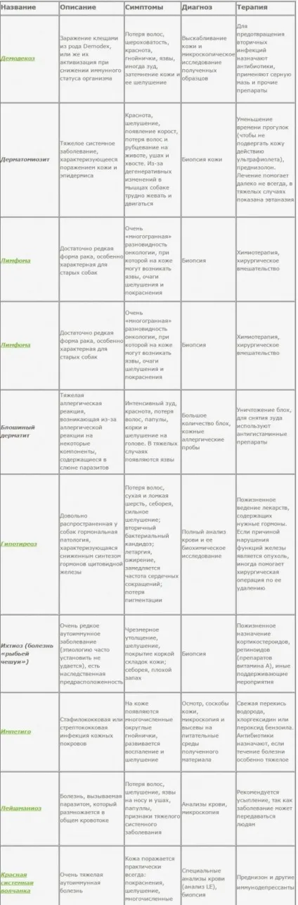У собаки лущиться шкіра таблиця симптомів і способів лікування (собаки лущиться шкіра) У собаки лущиться шкіра таблиця симптомів і способів лікування