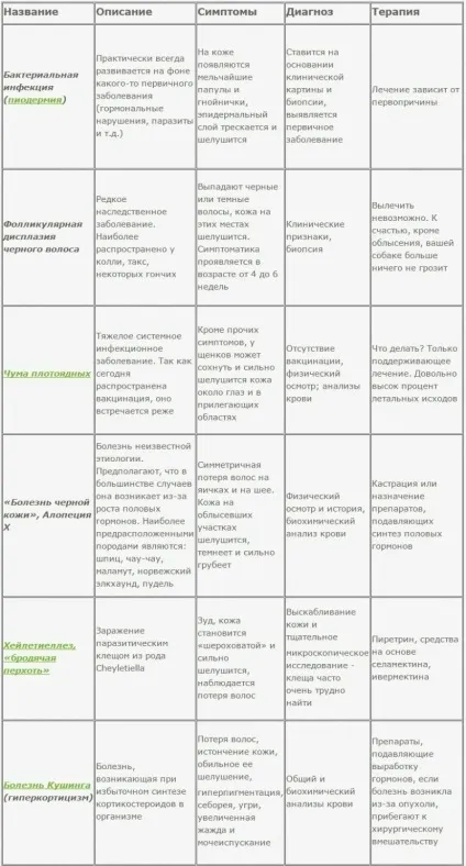У собаки лущиться шкіра таблиця симптомів і способів лікування (шкіра) У собаки лущиться шкіра таблиця симптомів і способів лікування