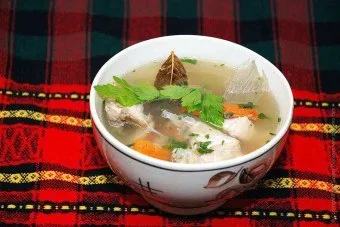 Юшка з голови коропа - як приготувати смачну страву (голови) Юшка з голови коропа - як приготувати смачну страву
