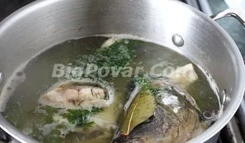 Юшка з голови коропа покроковий рецепт приготування з фото і поясненнями (коропа) Юшка з голови коропа покроковий рецепт приготування з фото і поясненнями