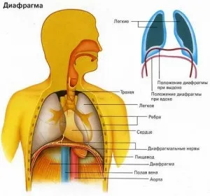 У чому користь мантр, розвиток особистості (Лонг Мантри Звуки) У чому користь мантр, розвиток особистості