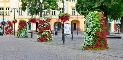 Вертикальні клумби для петунії своїми руками (своїми) Вертикальні клумби для петунії своїми руками