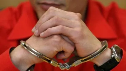 У чому відмінність амністії від помилування (відміну) У чому відмінність амністії від помилування