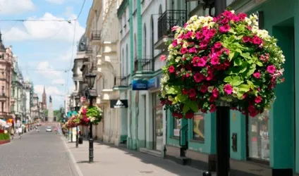 Вертикальні клумби для петунії своїми руками (своїми) Вертикальні клумби для петунії своїми руками