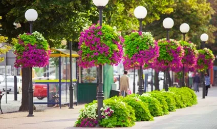 Вертикальні клумби для петунії своїми руками (своїми) Вертикальні клумби для петунії своїми руками
